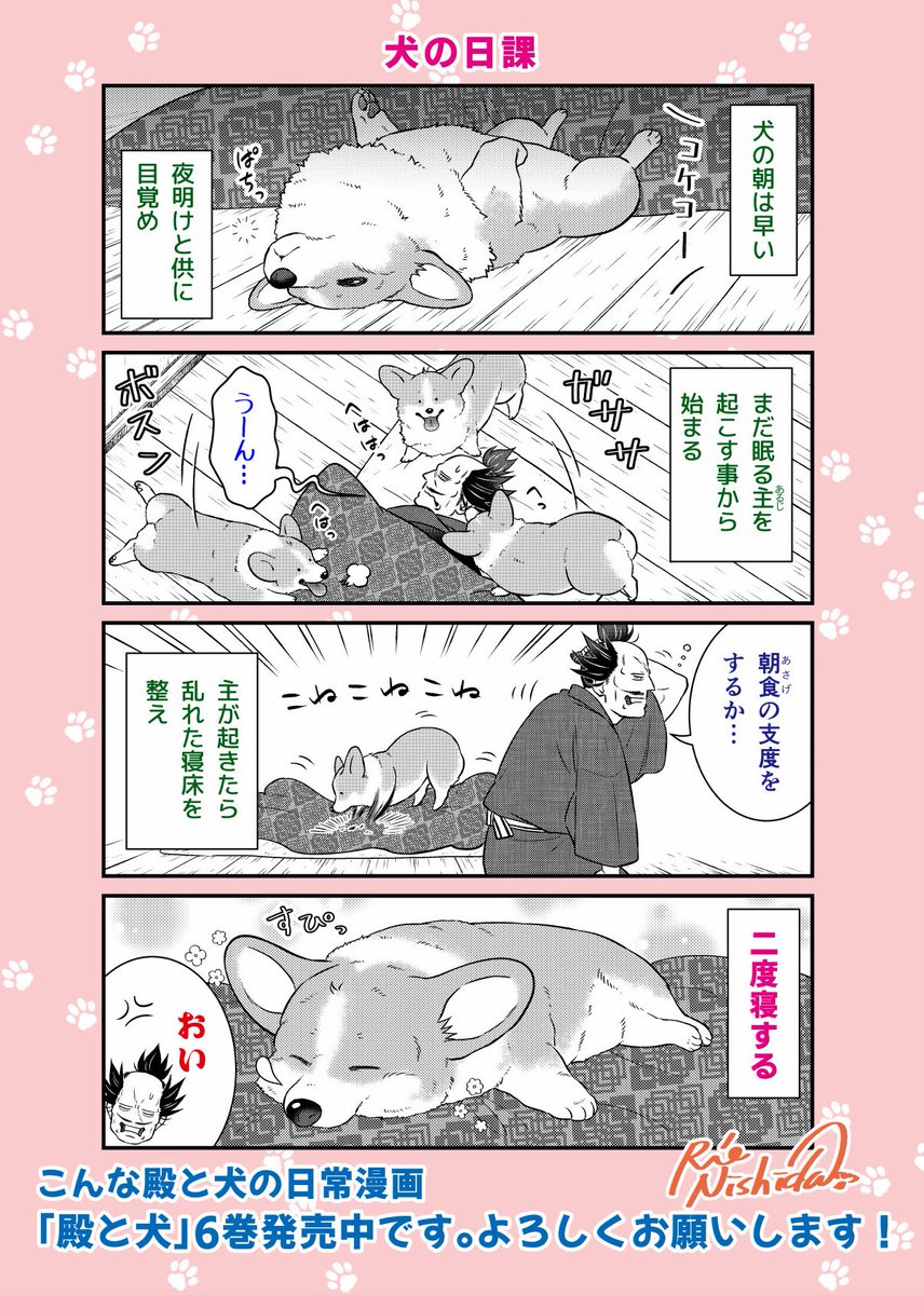 西田理英 tweet media