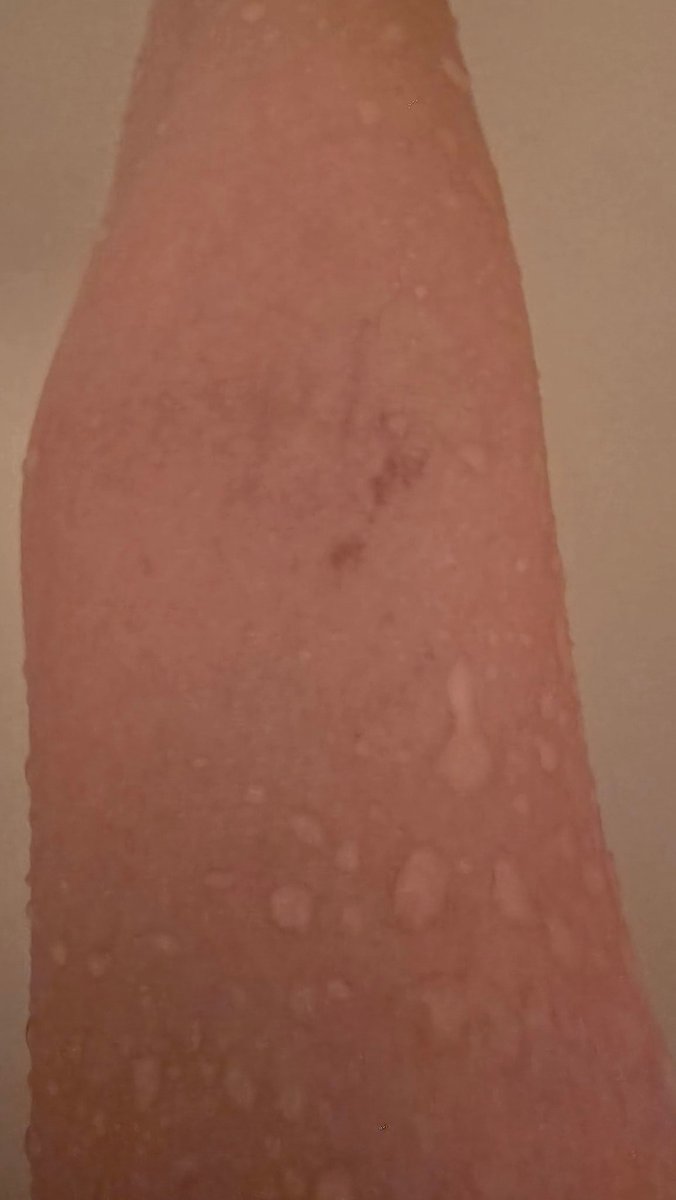 Crilly | Mouse Tyrant VTuber | 🔞 tweet media