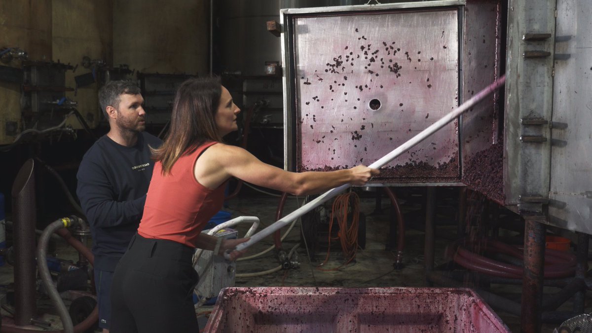 Channel 31 tweet media