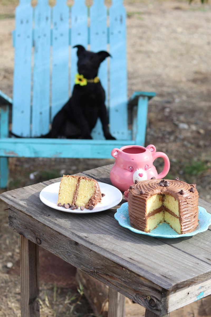 ShopDogStore's tweet image. 🐕
Tail wags start here.
Discover fun, practical, and stylish products made just for dogs and the humans who love them.

Browse today 👉 shopdogstore.com

#DogEssentials #PetProducts #DogCommunity #DogShopping #PuppyLove #ShopDogStore