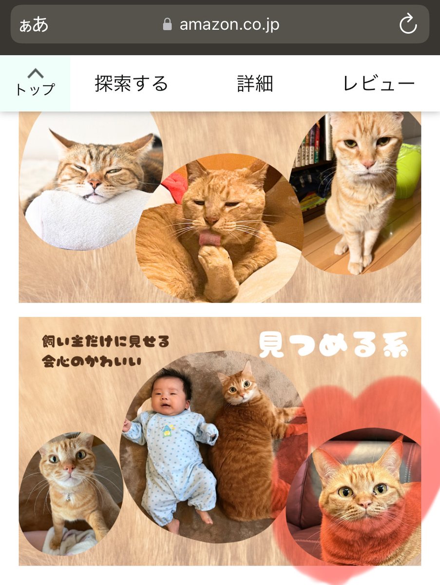 toneko_maple's tweet photo. @xx37790350 載ったよ！応募型だけども(◜௰◝)！
Amazonの紹介文のところにもいるよ〜(◜𖥦◝🫶🏻) https://t.co/Edv62fk34U