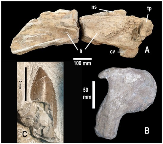 MDPI Environmental & Earth Sciences tweet media