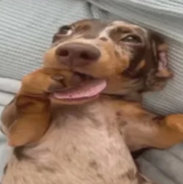 gil ♡ polytrix lover tweet media