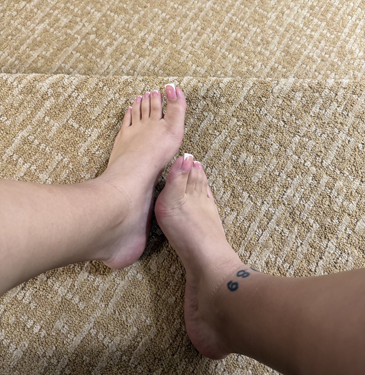 August Li 🌻 tweet media