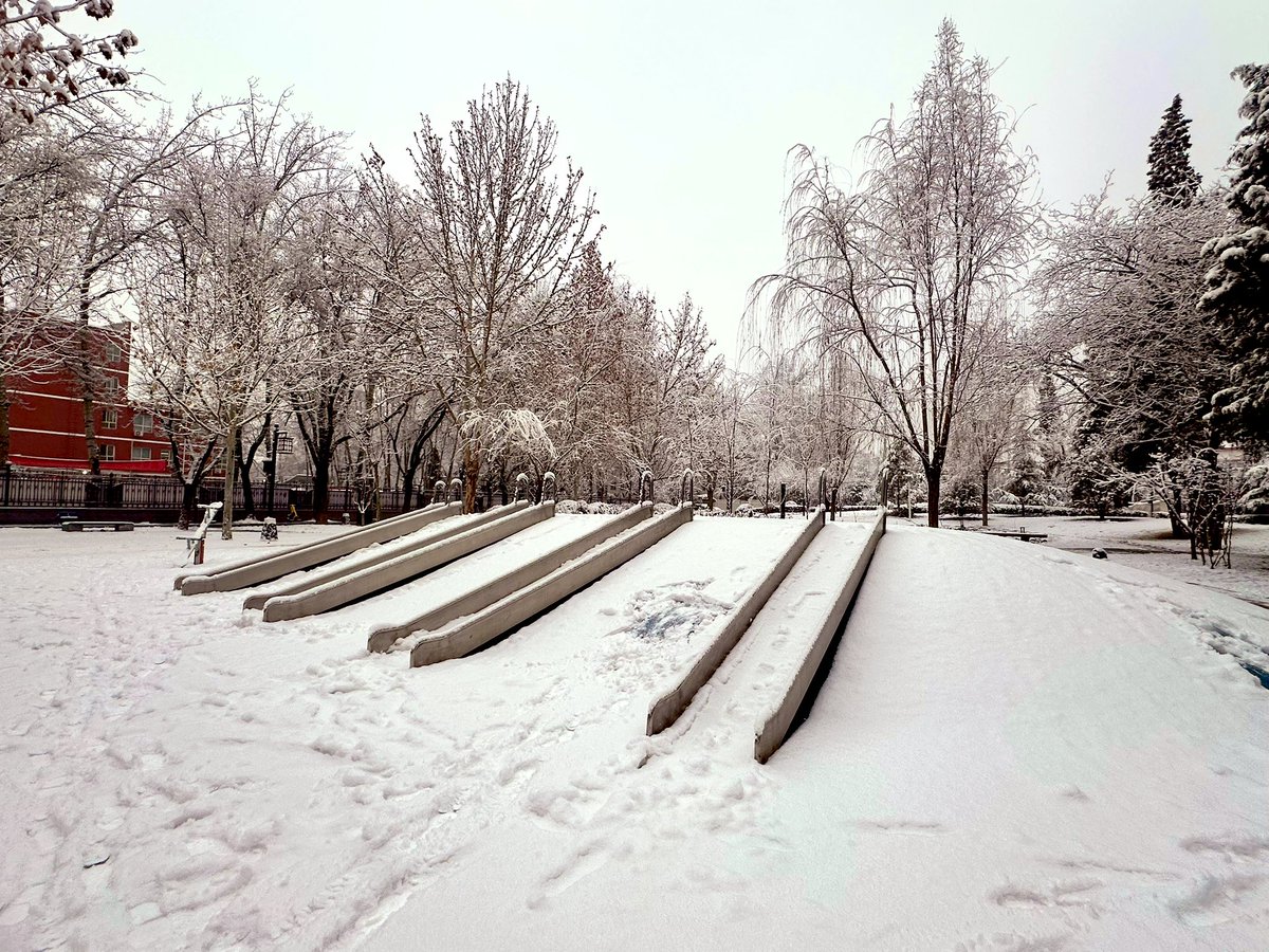 david_andrew123's tweet image. Snow day perfection! ❄️🎢 The slides are buried in fluffy snow, and the pine trees are wearing thick white coats ✨🌲. This quiet, frosty park is the coziest winter escape ever!

#SnowyMagic #WinterVibes #ParkLife
