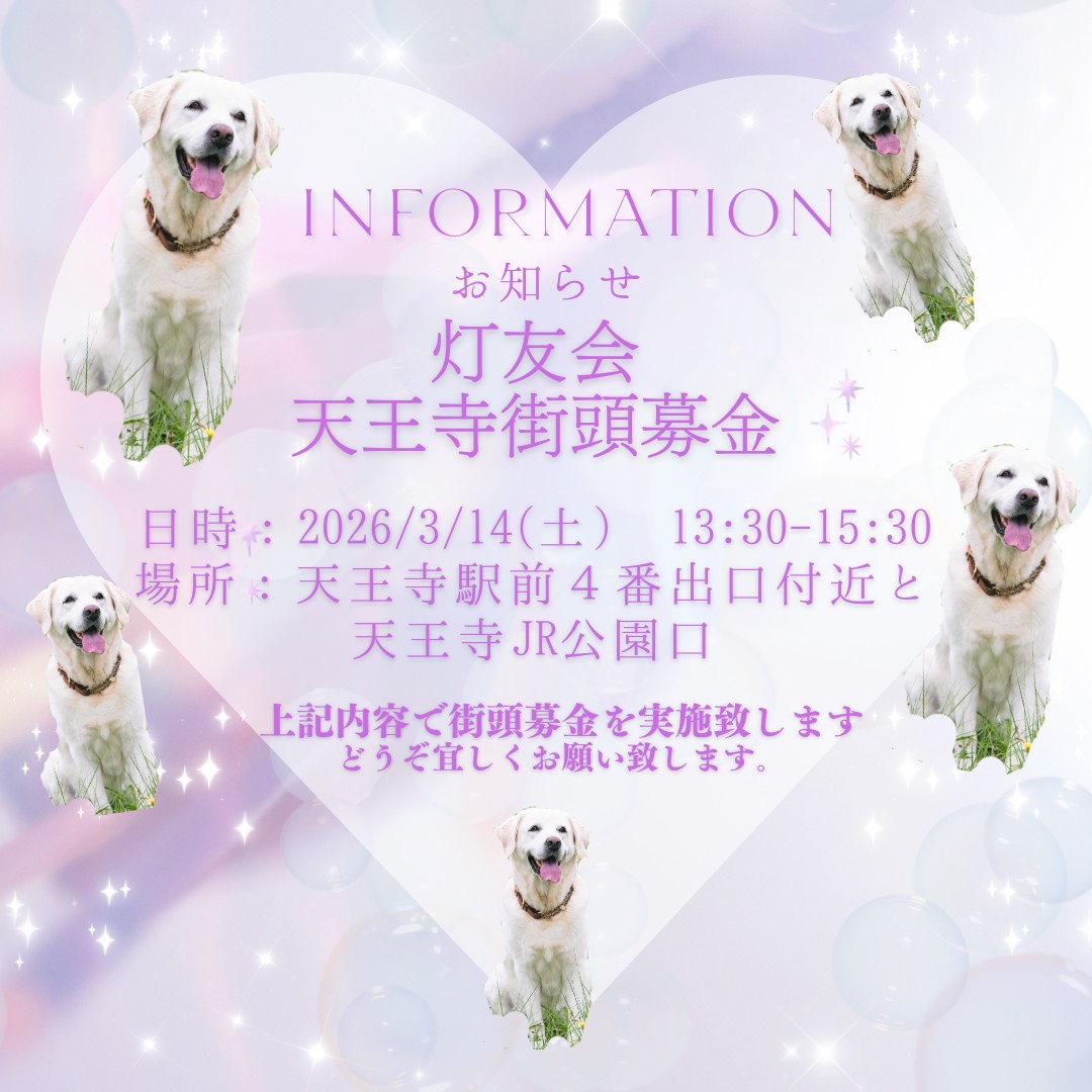 日本ライトハウス　盲導犬訓練所 tweet media