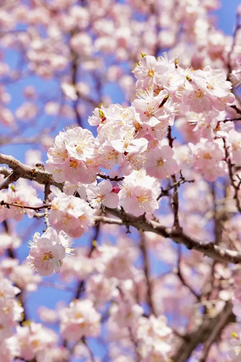 Wade（互fo） tweet media