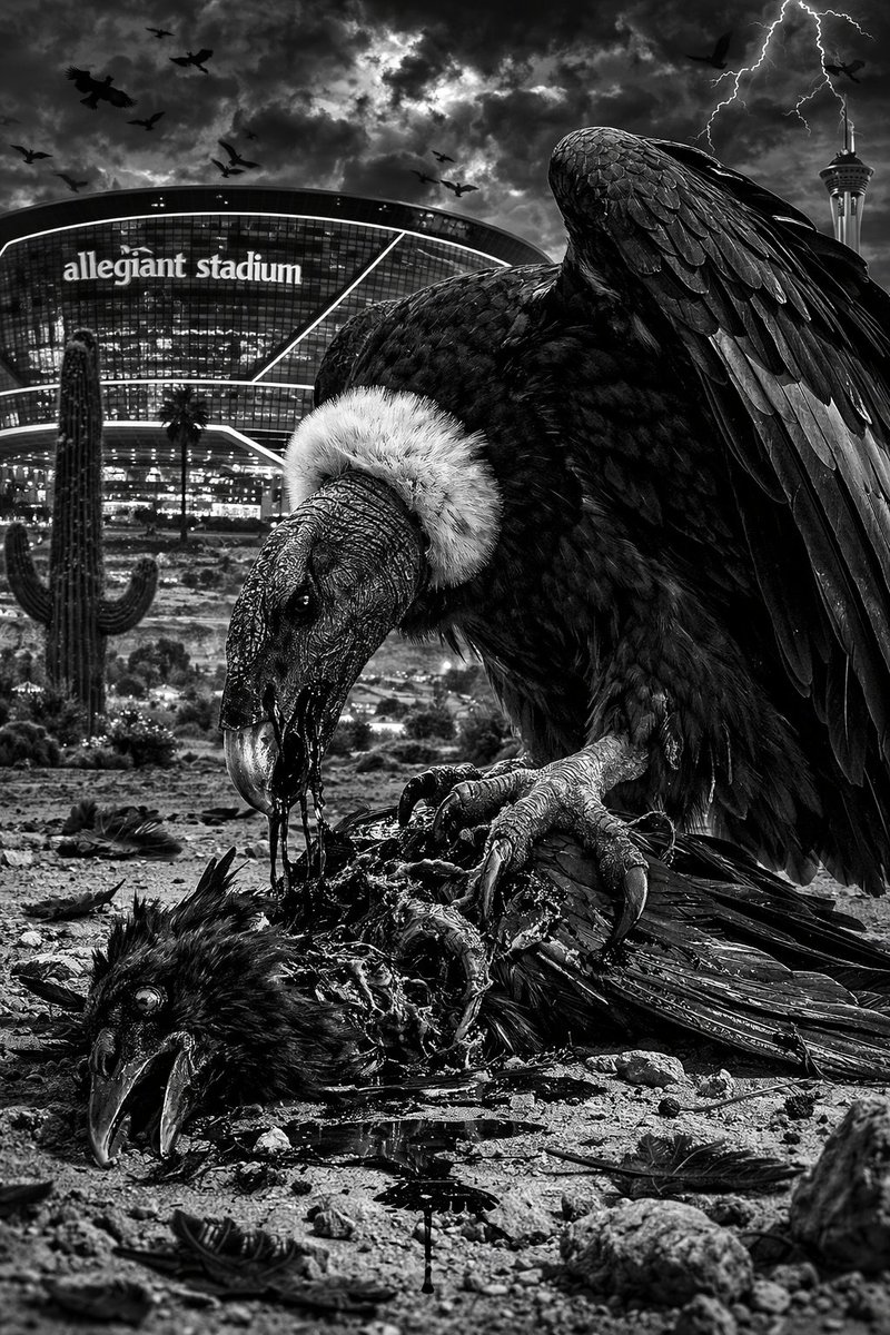 💀🗡🛡🗡💀 tweet media