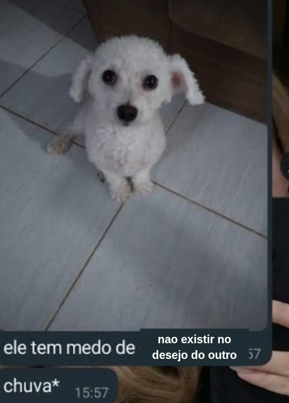 talisman (@saudementales) on Twitter photo 