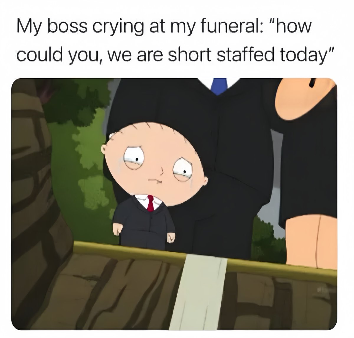 SimpleApply tweet media