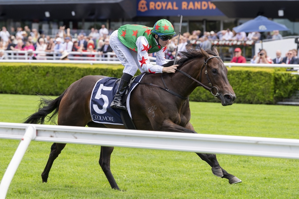tnews_racing's tweet photo. Star has spell cut short to make belated Slipper bid > Juvenile Ciaron’s Star only lasted a few days in the paddock before all but forcing connections to get her back to the races. 

https://t.co/MYJIoEiRvt https://t.co/R8DcsNfAJT