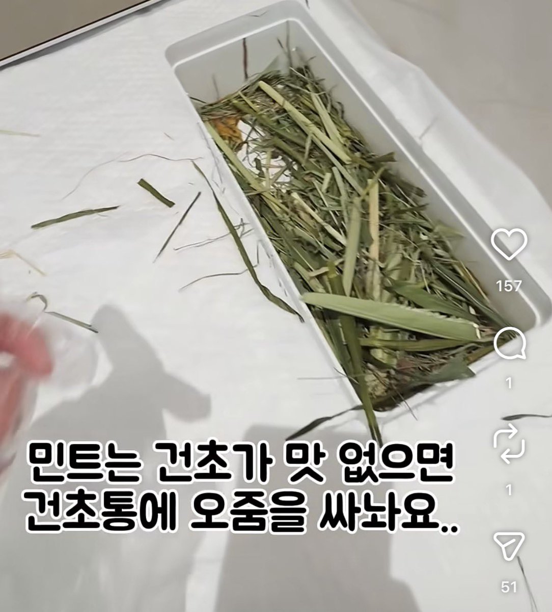 고든램지보다 더 확실한 맛표현