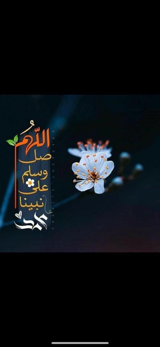أ. د. راشد الحمالي (@alhamalirashid) on Twitter photo 