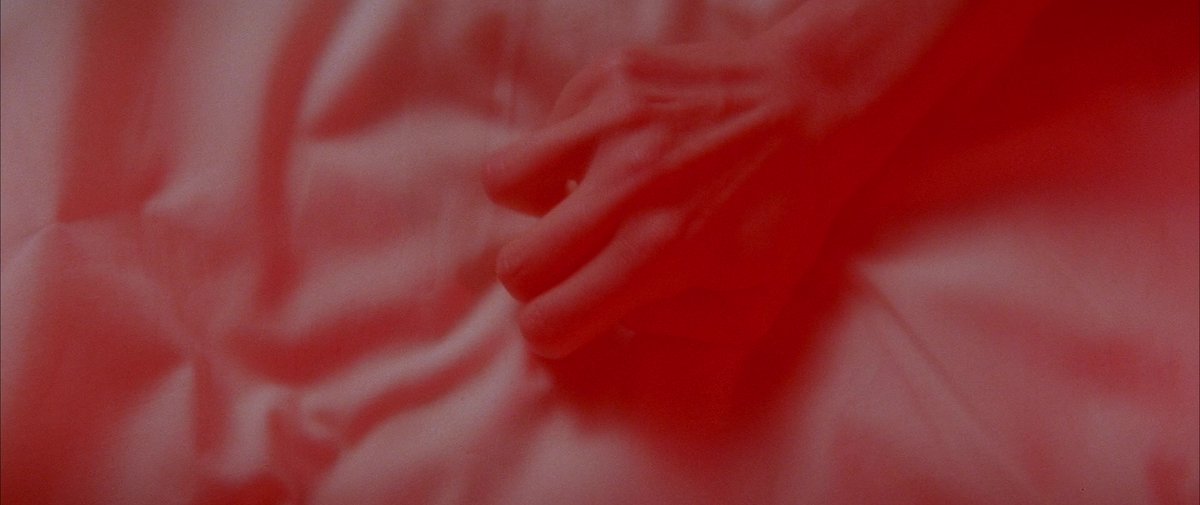 Jacob Calta tweet media