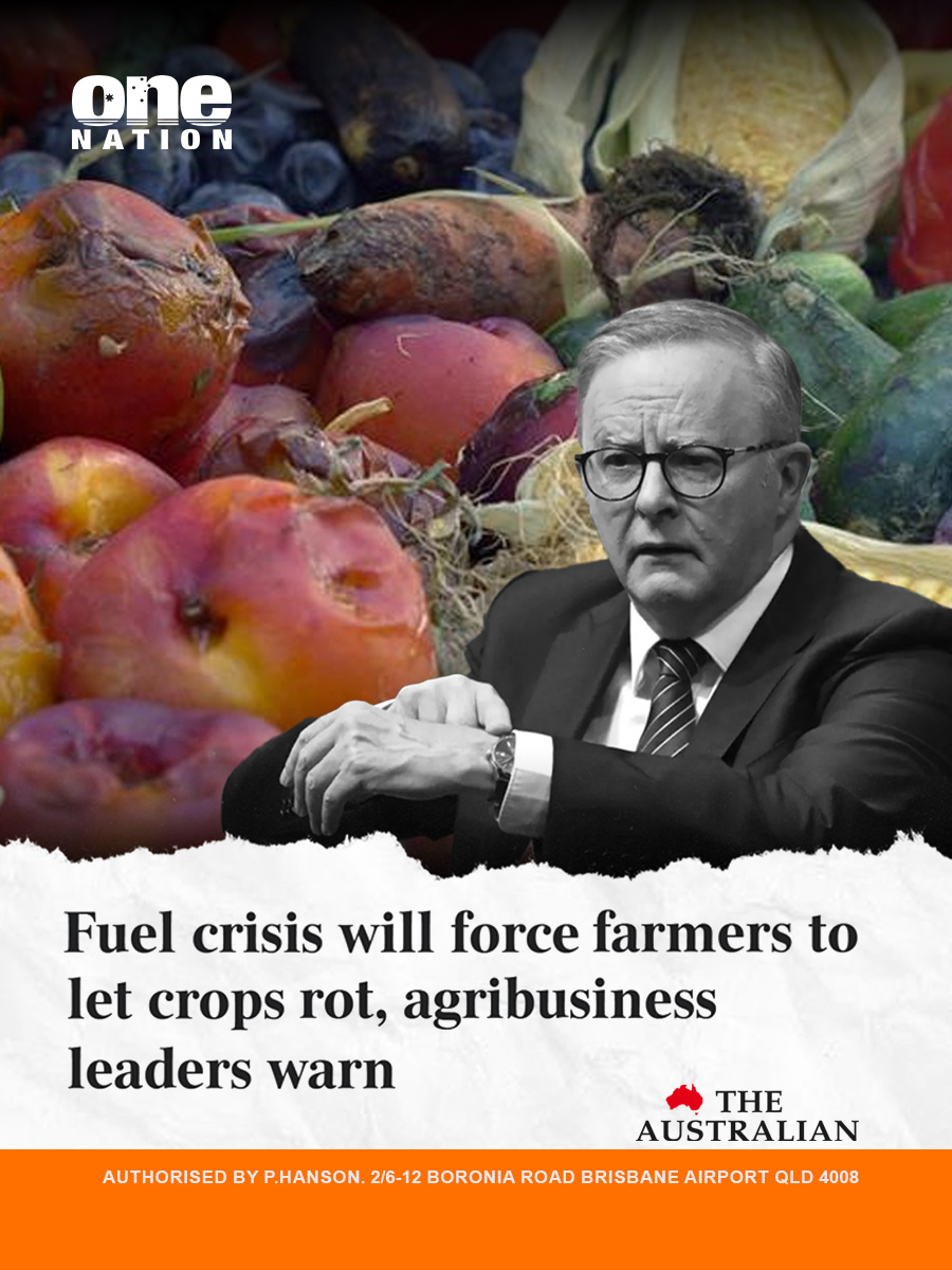 Fruit and vegetables rotting in the fields while farmers wait for fuel. That’s the reality under Labor right now.

When farmers can’t get petrol, they can’t harvest, transport, or keep food moving to Australian families. And this hits the price you pay at the checkout.

One