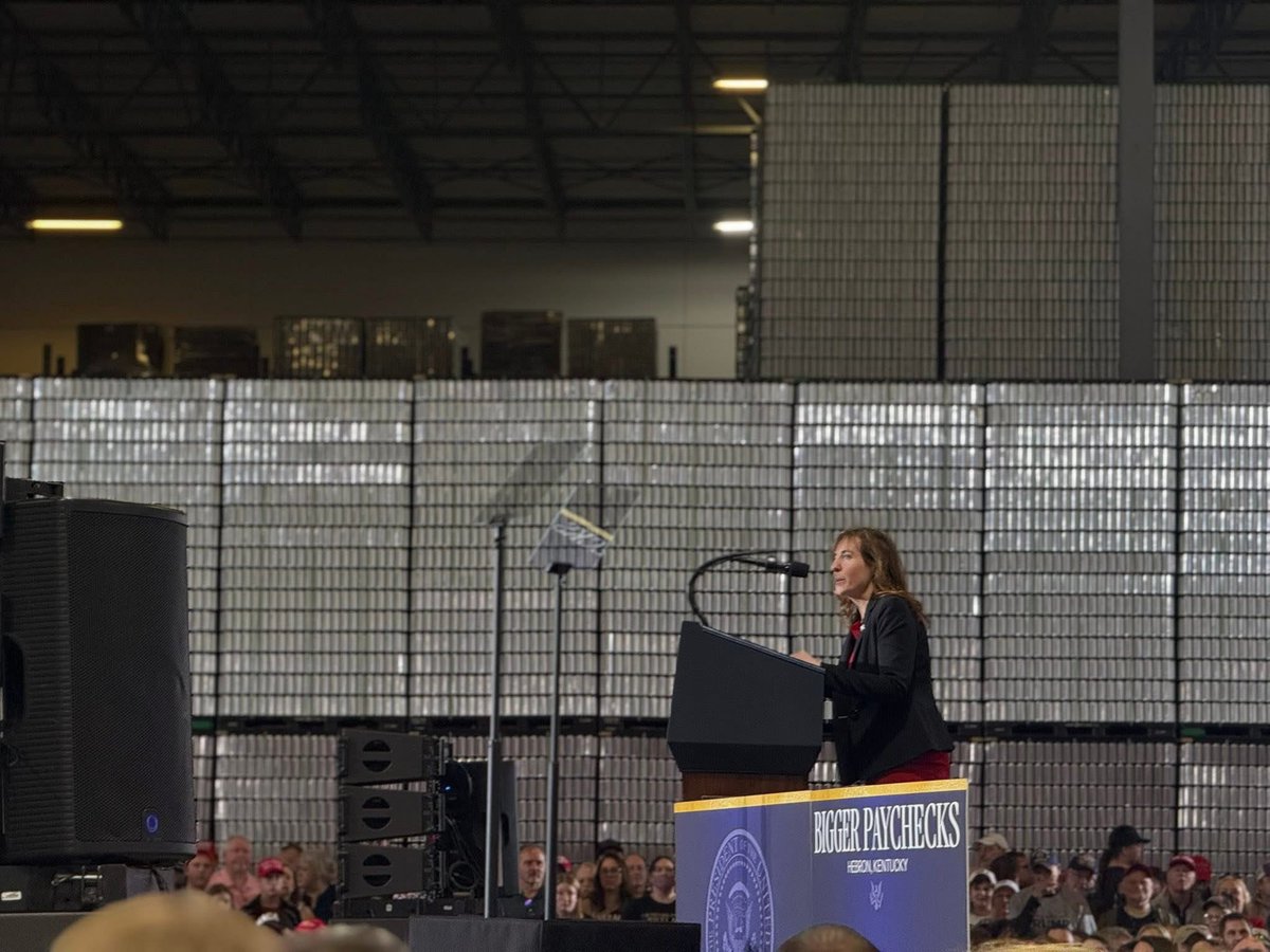 Auditor Allison Ball tweet media