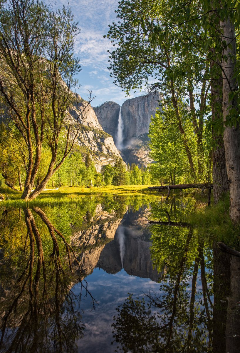 Brandon Yoshizawa tweet media