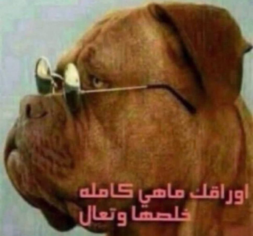 هاني tweet media