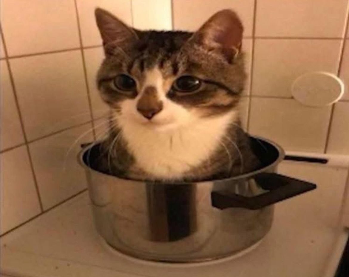 aether de sovereign tweet media