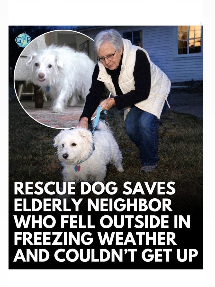 National CPR Foundation tweet media