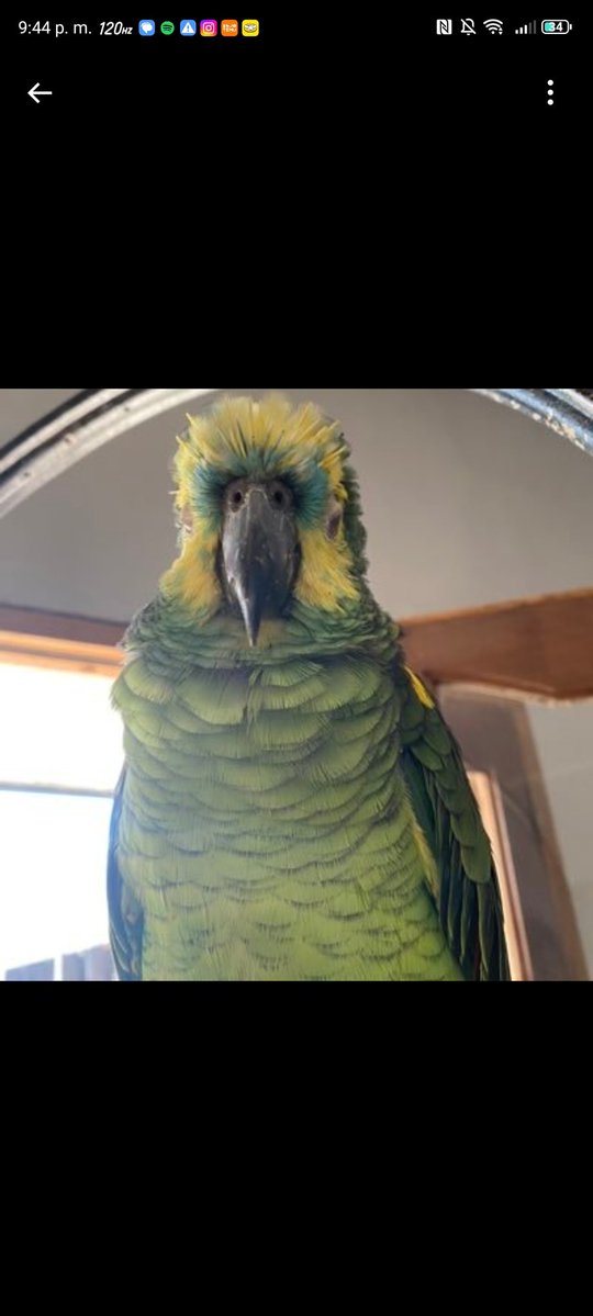 mmarianc tweet media