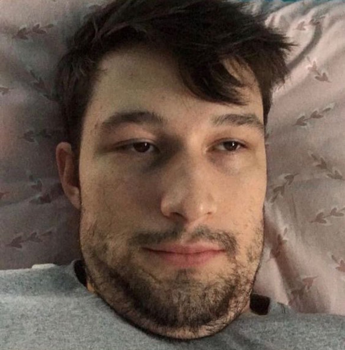 star code doofus🐻‍❄️🌸/🦩🐅 tweet media