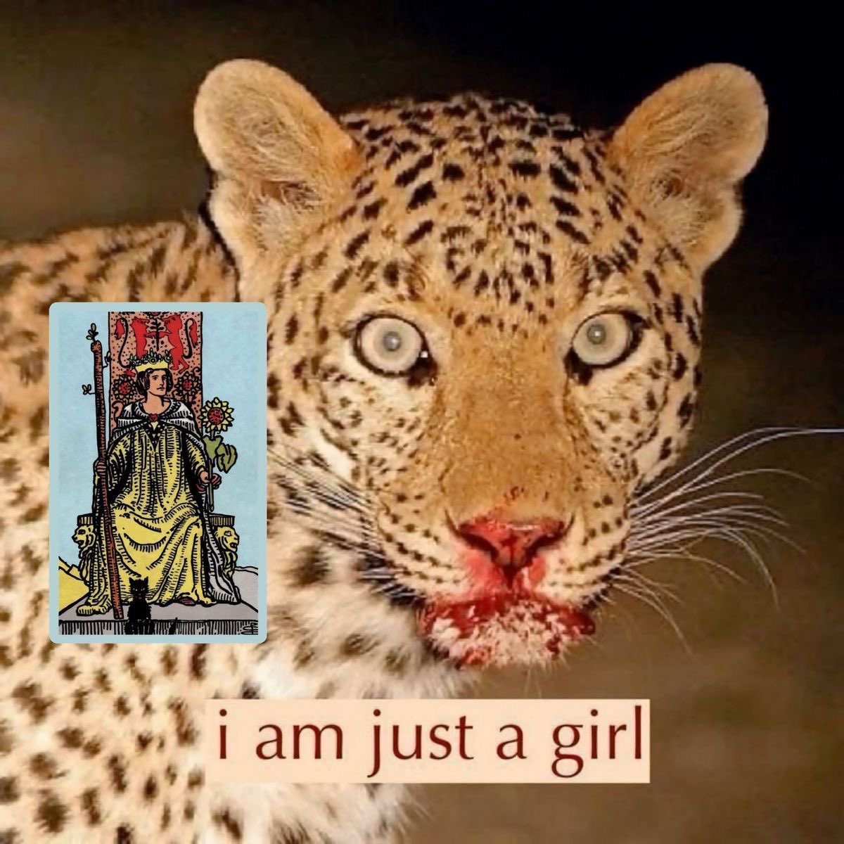 mystical ♒︎ mirror (@omisticismo) on Twitter photo 