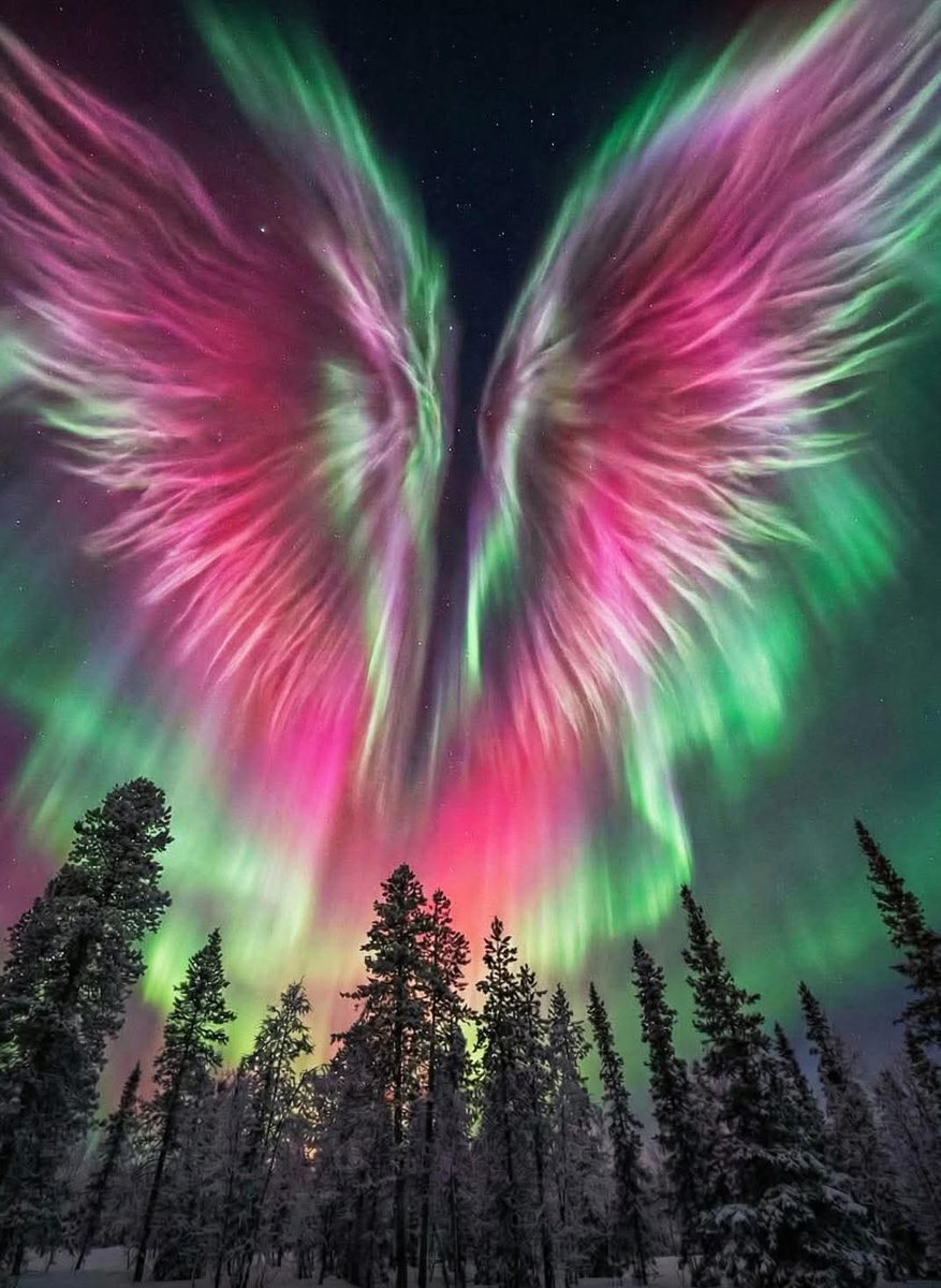 Future Science tweet media