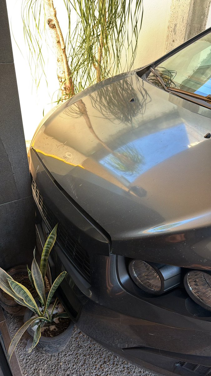 soficrdz10's tweet photo. mi nuevo momento más humilde es haber chocado con tan solo prender el carro 💔 https://t.co/Vo7g2ayBzt