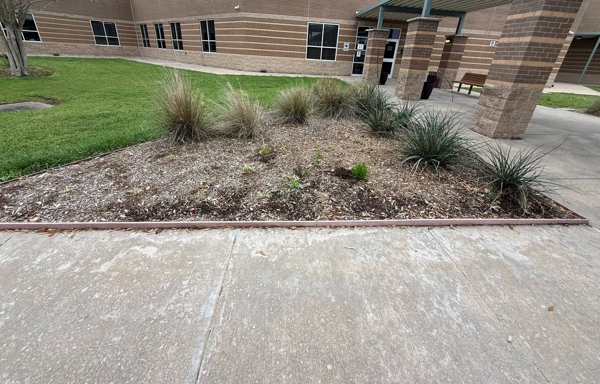 Parks Elementary tweet media