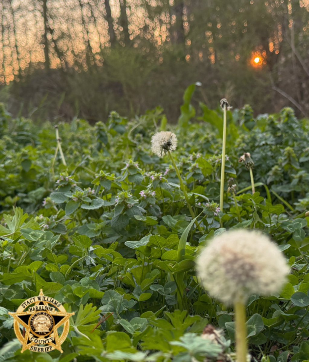 Good Thursday evening folks, we hope y’all have a great night! 

#GoodnightHaralson 
#FridayEve 
#HCSO