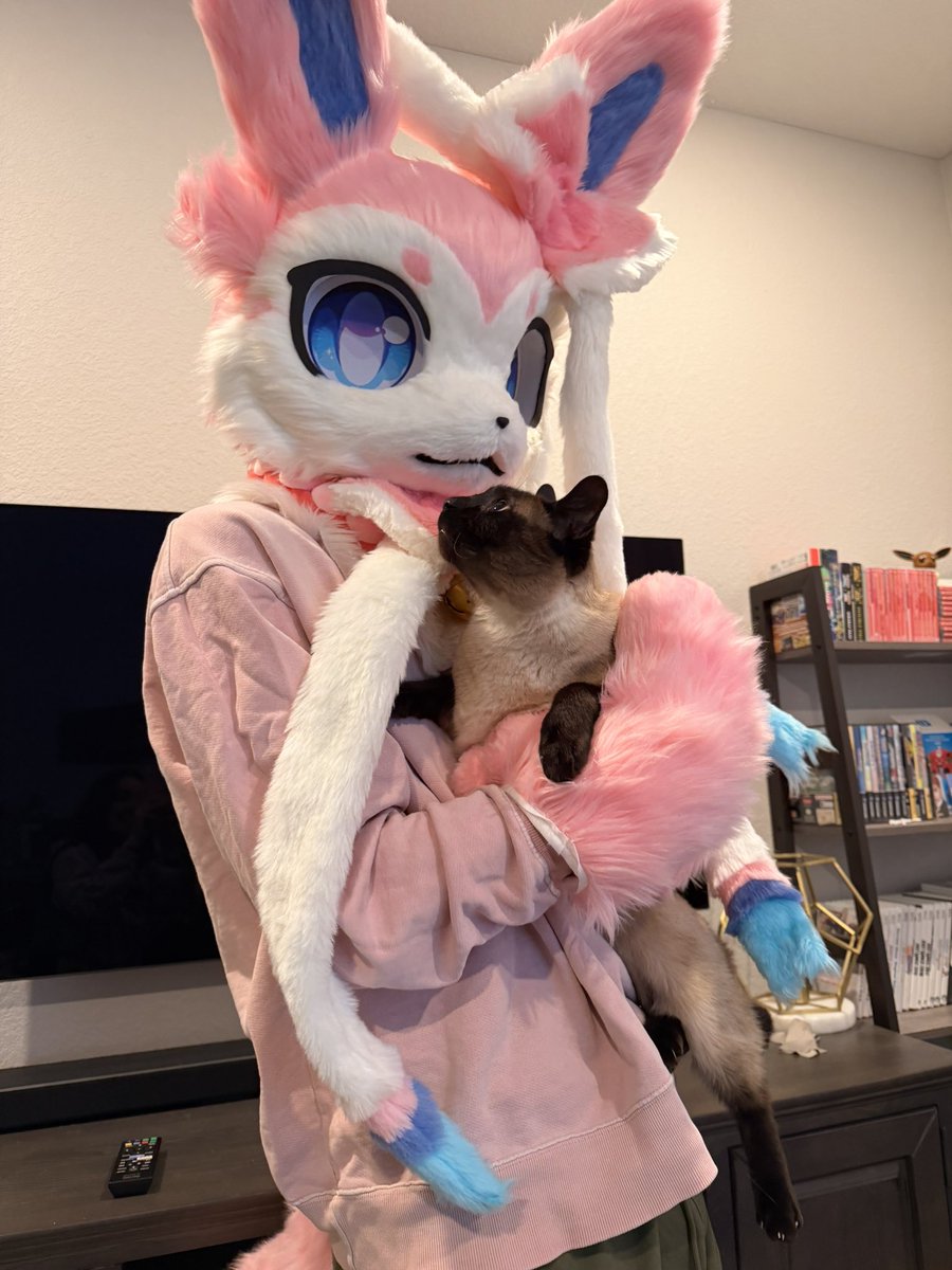 Arlo 🩷🩵🤍 tweet media