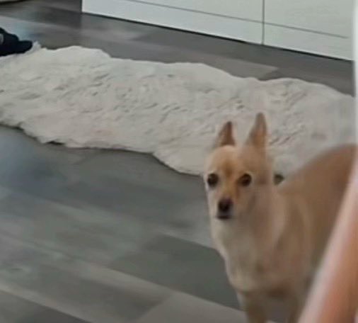 cielpleuree's tweet image. Heyy sooo jpensais pas ça allait faire autant de brume que ça #adios