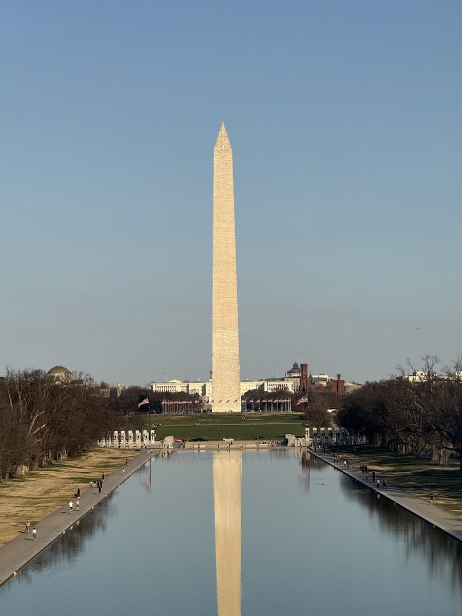 Stacey Champion tweet media