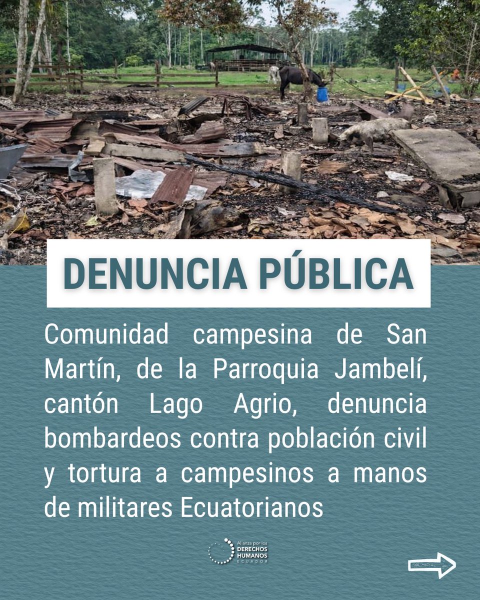 Alianza de Organizaciones por los Derechos Humanos tweet media