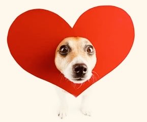 MannyCraft tweet media