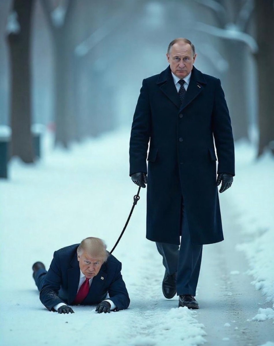 Governor Newsom Press Office tweet media