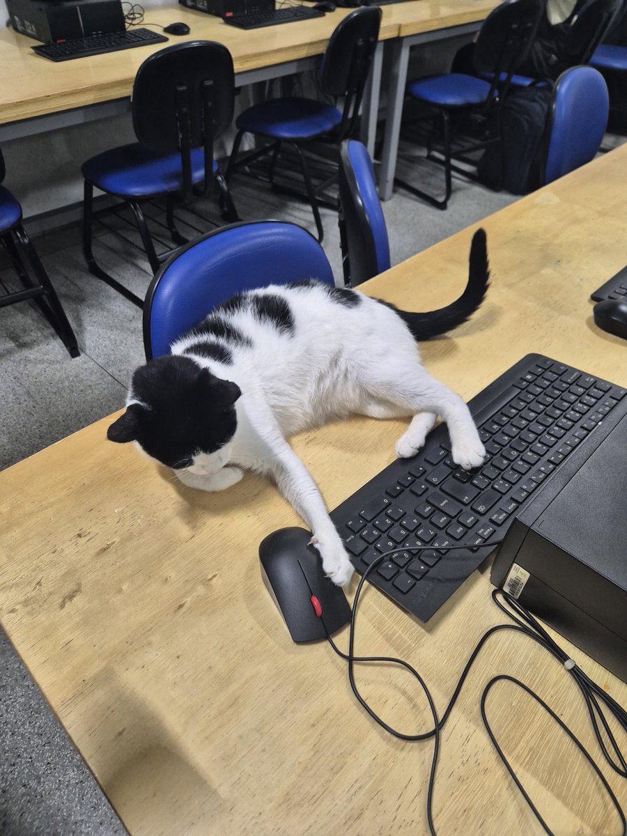 uma caloura de ads confundiu as salas e agora ta aqui no 5 semestre pedindo ajuda pra ligar o pc