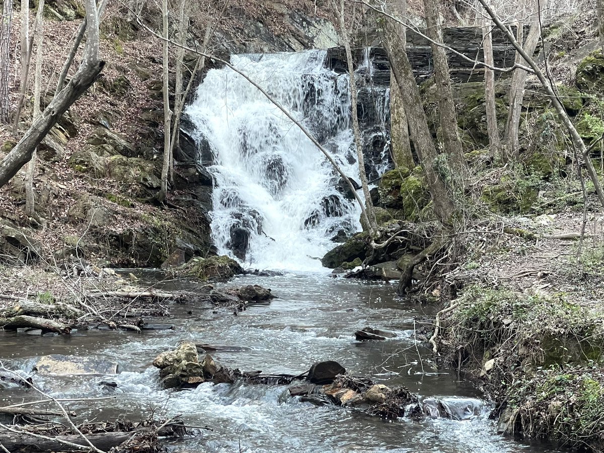 OutonaLemb's tweet photo. Morgan Lake Falls &amp; Morgan Creek were flowing well at sunset today after two plus inches of rain this week filled up Morgan Lake above them to overflow. @weswyattweather https://t.co/nbADxTRXBu