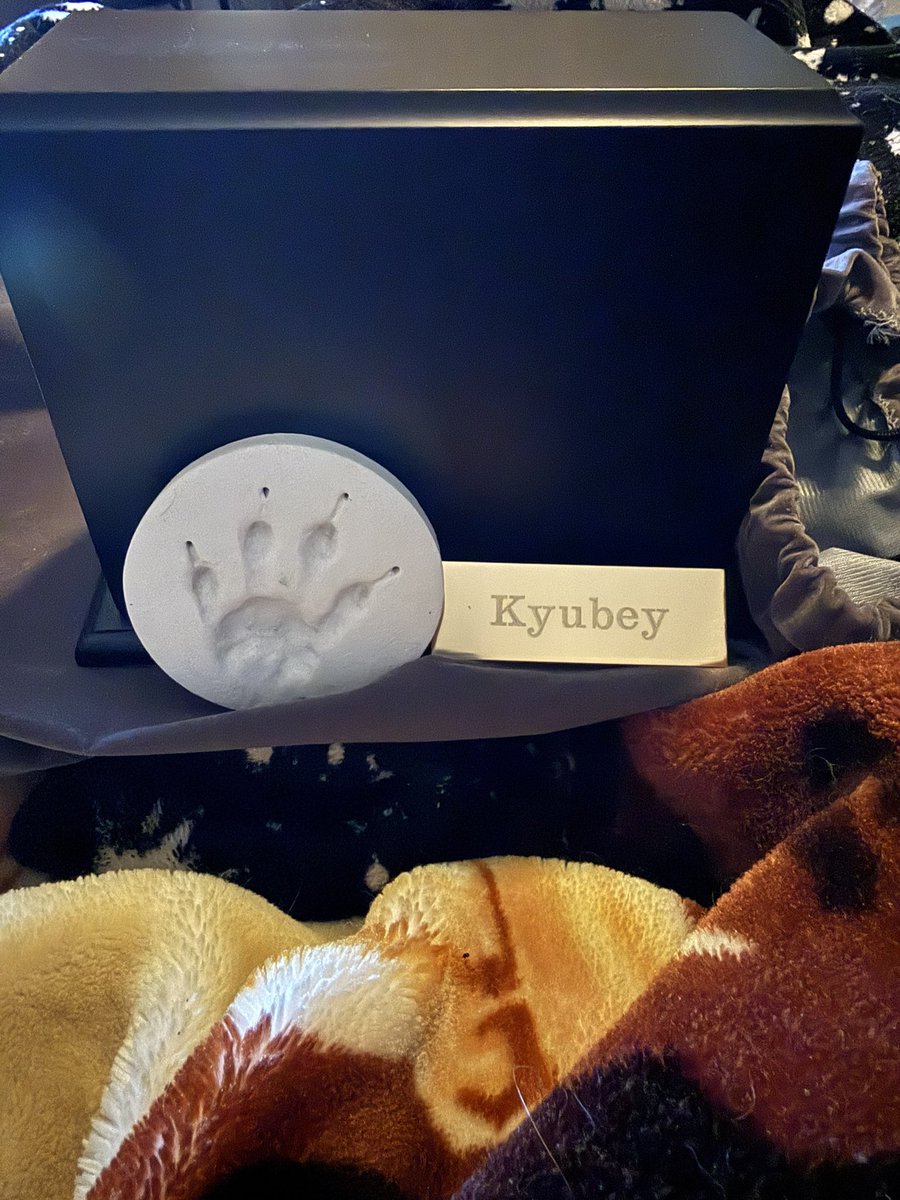 Tiferet ⚙️ REARMS Android tweet media