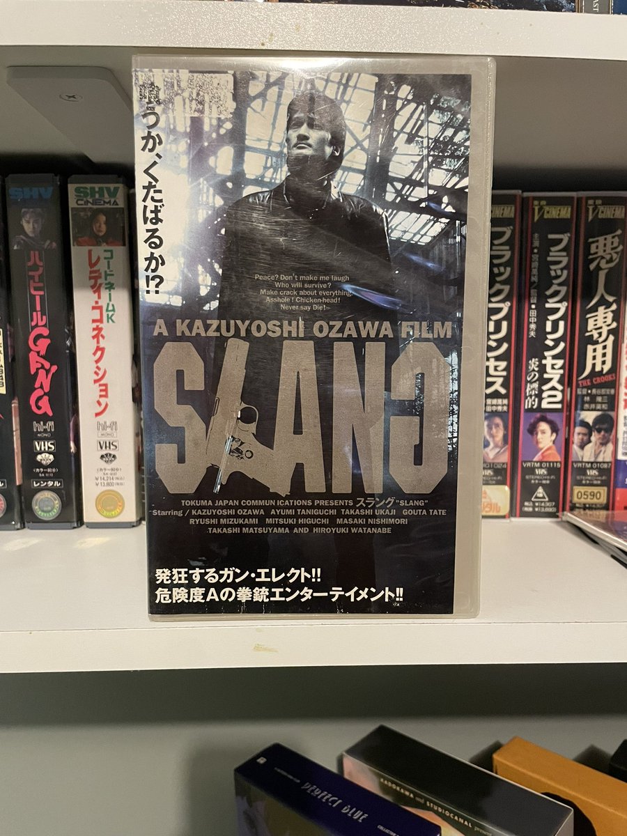 ѕнσgυη ѕυρяємє tweet media