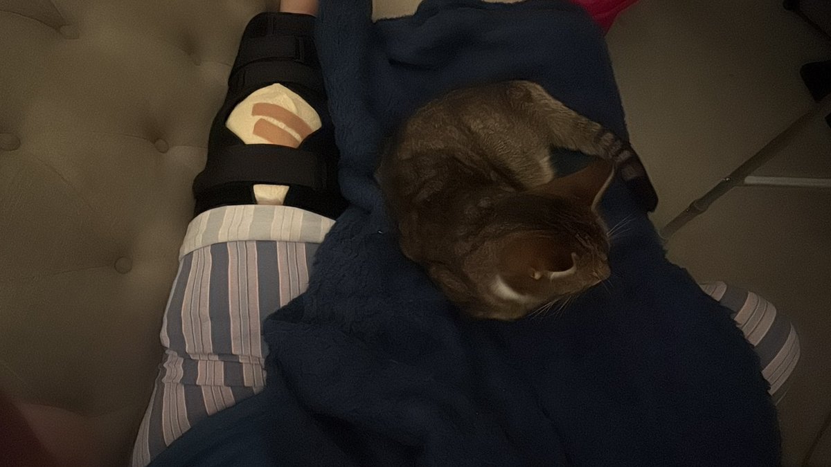 Lucy 🇪🇺💙 tweet media