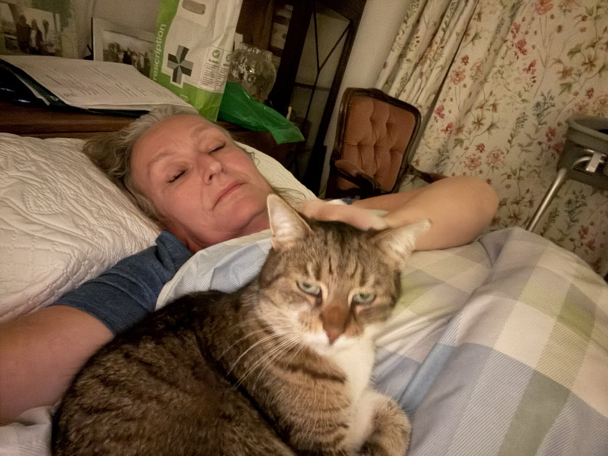 Lucy 🇪🇺💙 tweet media