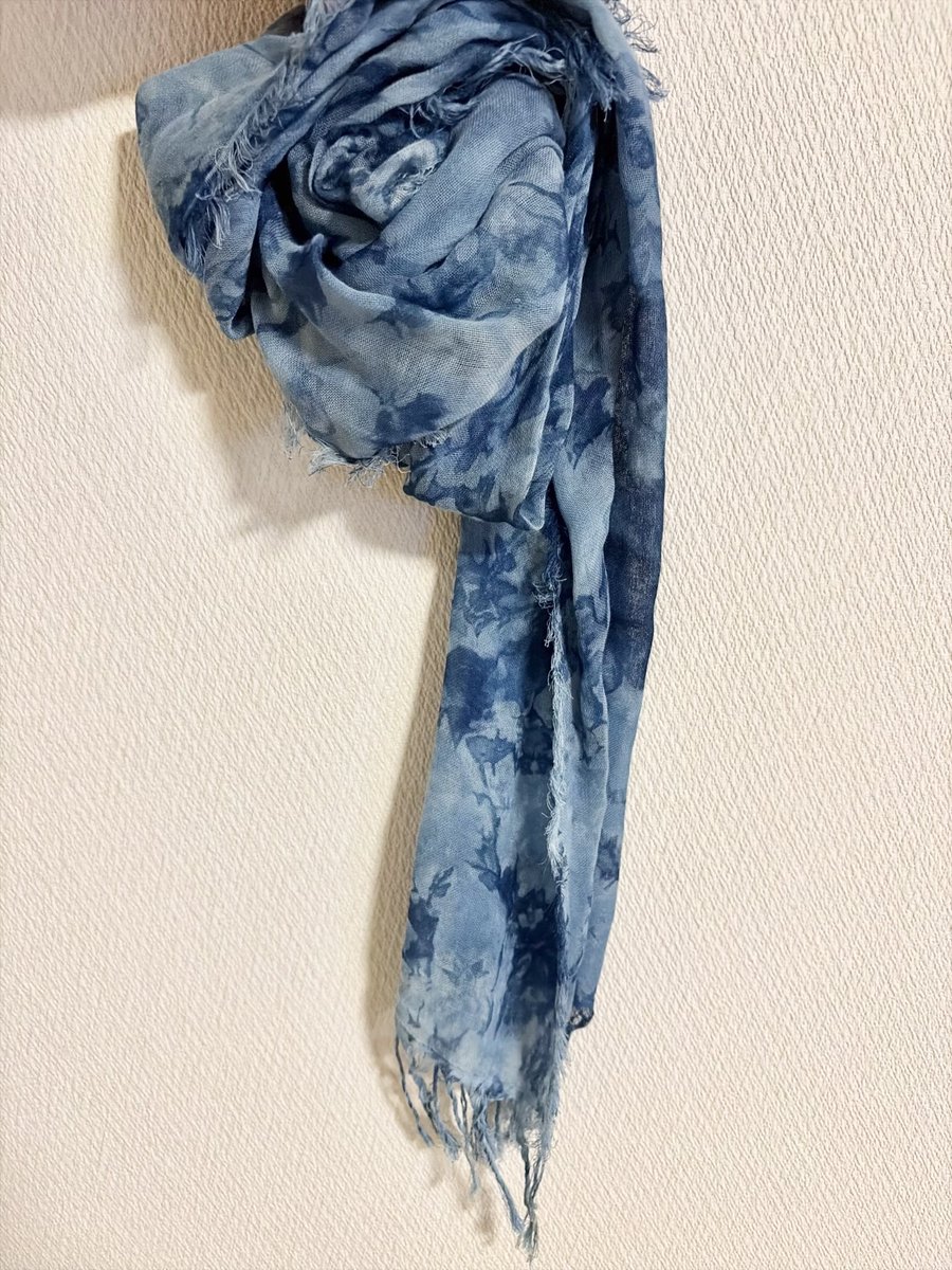 いかちゃん tweet media