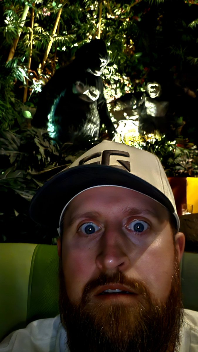 Immature tweet media