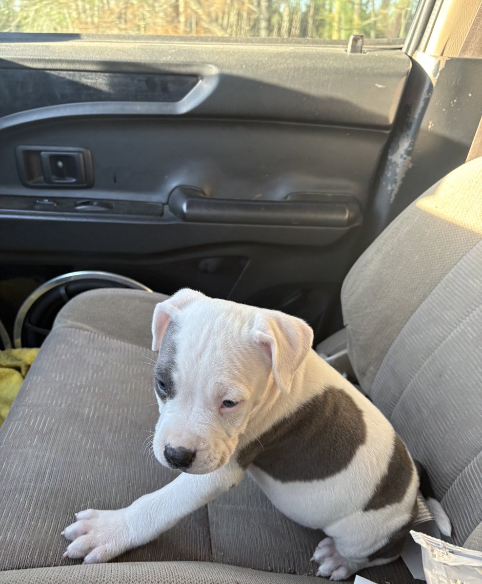 𝕋𝕣𝕖𝕪 tweet media