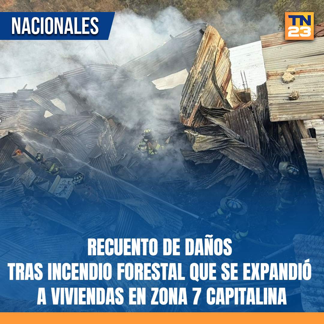 TN23NOTICIAS's tweet photo. 🚨#Recuento de #daños tras #IncendioForestal que se #expandió a #viviendas en #Zona7 capitalina ➡️ https://t.co/Rynf2nmghp https://t.co/d4At20Mi2k