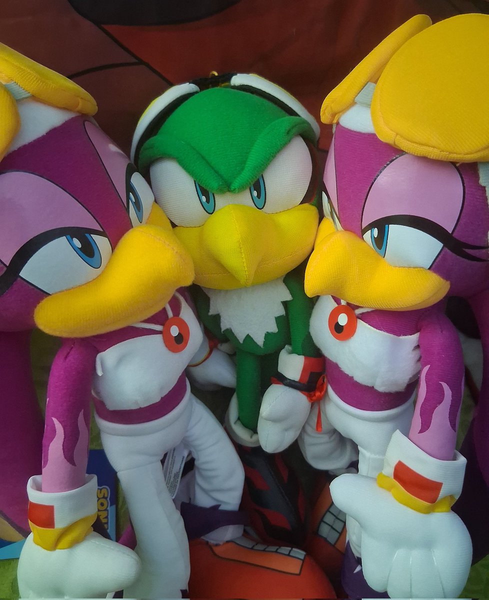 Stolen The Peacock 🦚💙 tweet media