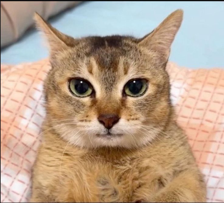 21 Tati XP tweet media