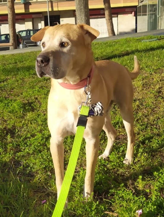 Hace algo más de medio año pasé por esto, solo que yo vi como se fue de repente... Nunca se está preparado...